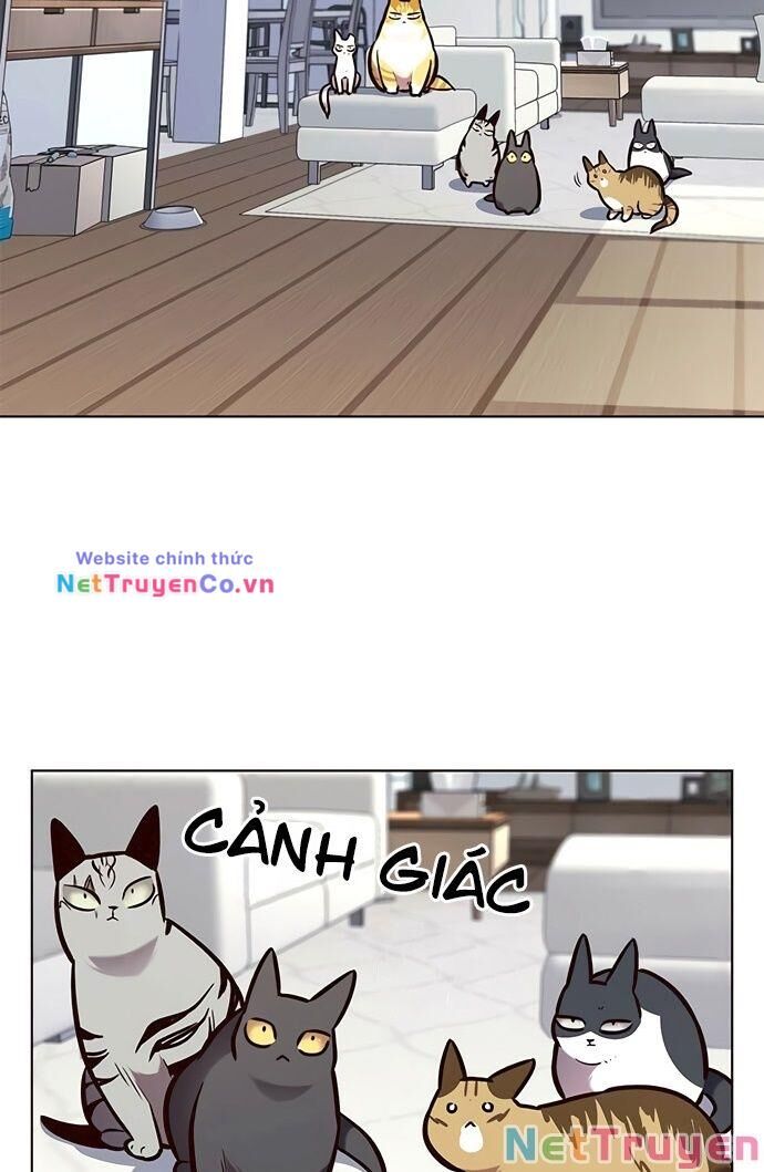 Cô Dâu Của Sói Trắng Chapter 188 - Trang 2