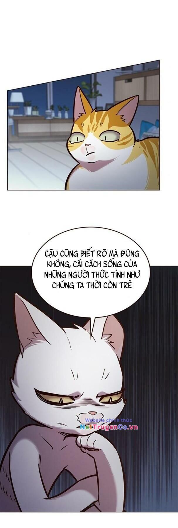 Cô Dâu Của Sói Trắng Chapter 190 - Trang 2