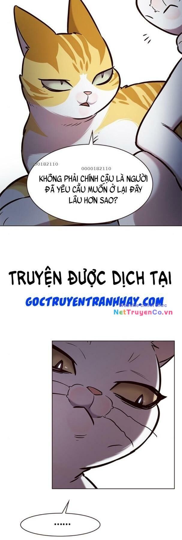 Cô Dâu Của Sói Trắng Chapter 190 - Trang 2