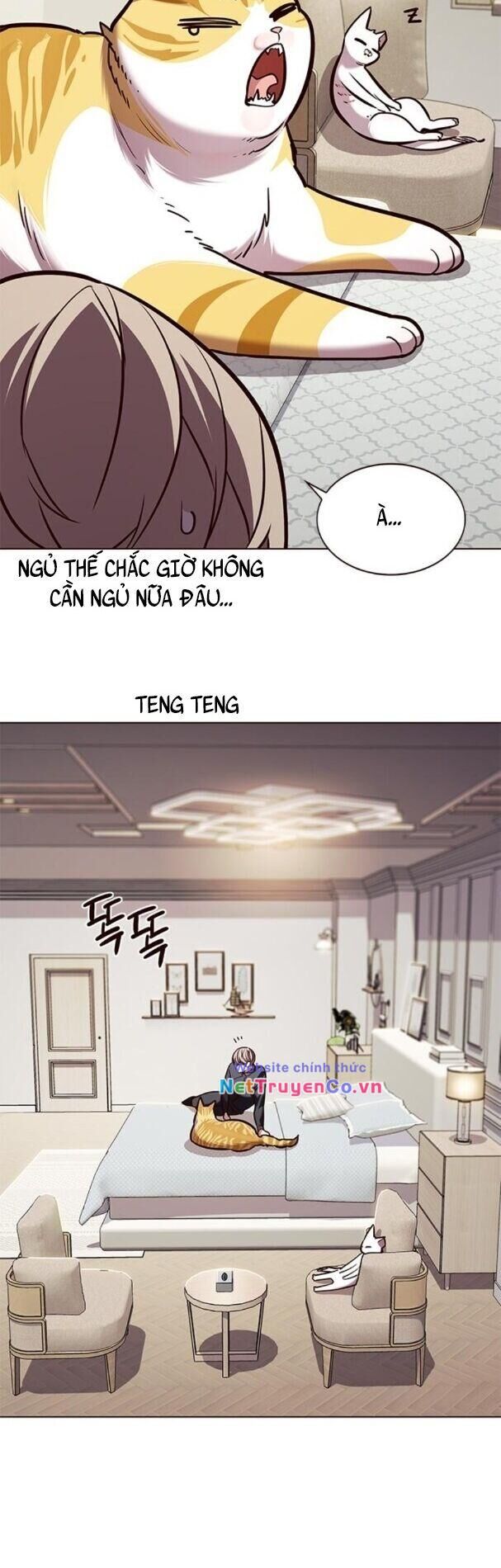 Cô Dâu Của Sói Trắng Chapter 195 - Trang 2