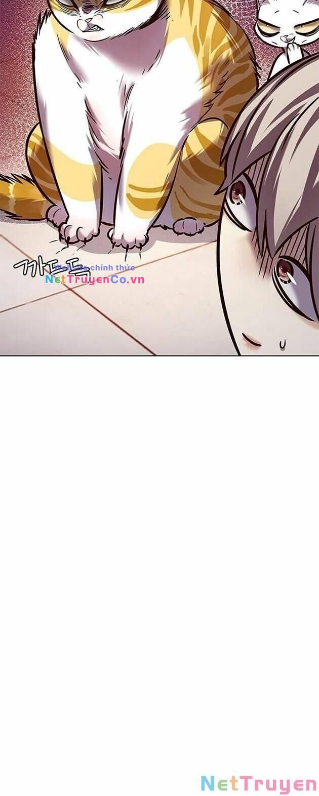 Cô Dâu Của Sói Trắng Chapter 222 - Trang 2
