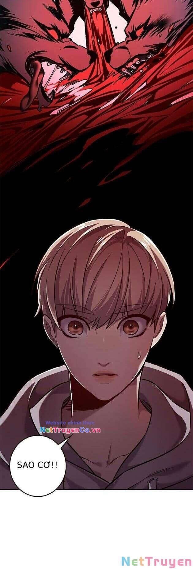 Cô Dâu Của Sói Trắng Chapter 239 - Trang 2