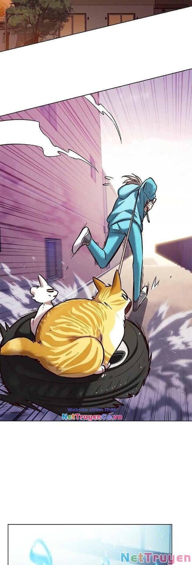 Cô Dâu Của Sói Trắng Chapter 239 - Trang 2