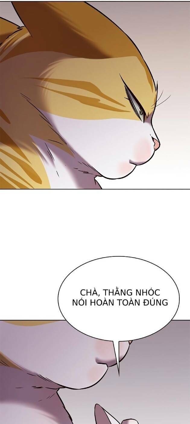 Cô Dâu Của Sói Trắng Chapter 241 - Trang 2