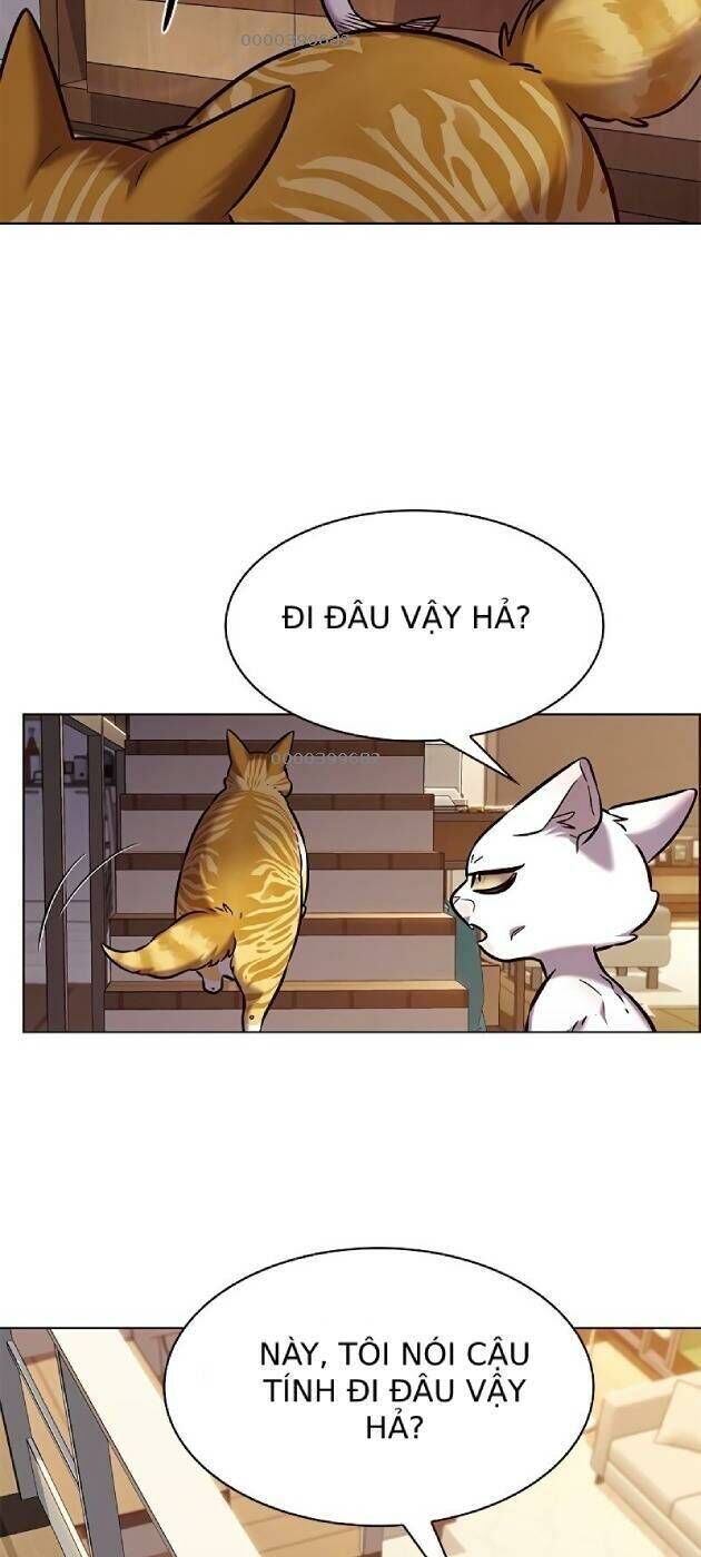 Cô Dâu Của Sói Trắng Chapter 241 - Trang 2