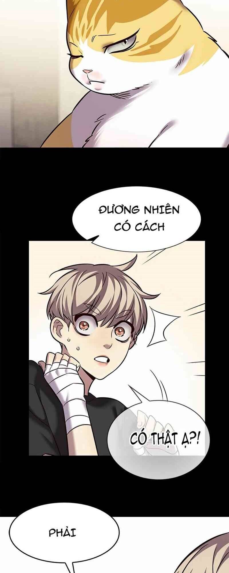 Cô Dâu Của Sói Trắng Chapter 244 - Trang 2
