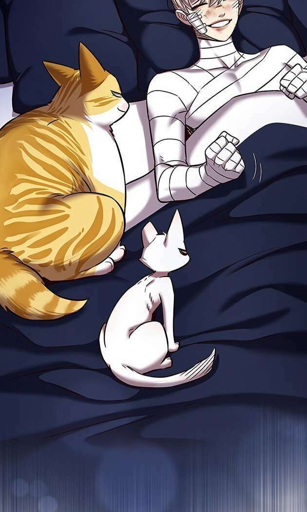 Cô Dâu Của Sói Trắng Chapter 253 - Trang 2