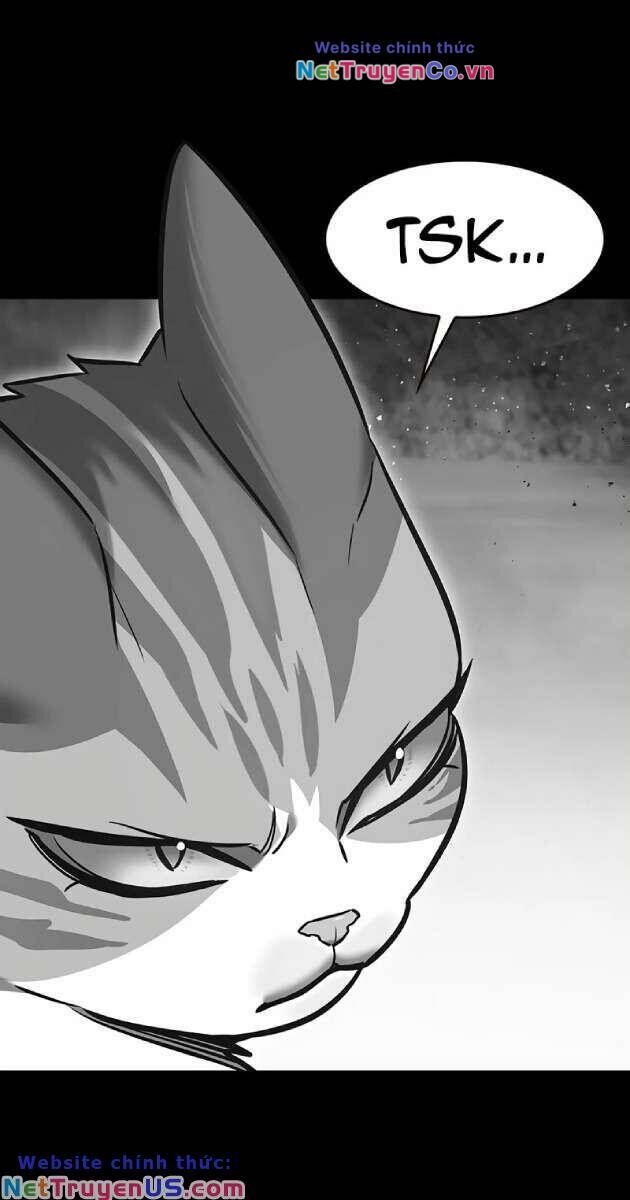 Cô Dâu Của Sói Trắng Chapter 261 - Trang 2