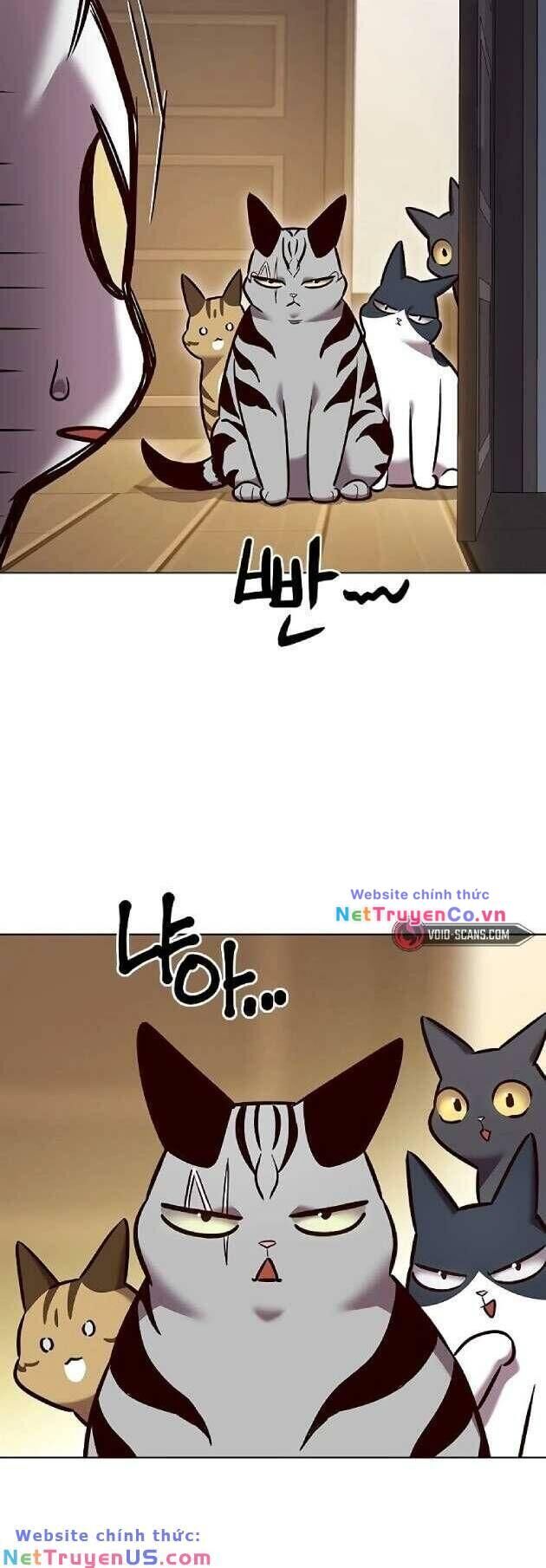 Cô Dâu Của Sói Trắng Chapter 262 - Trang 2