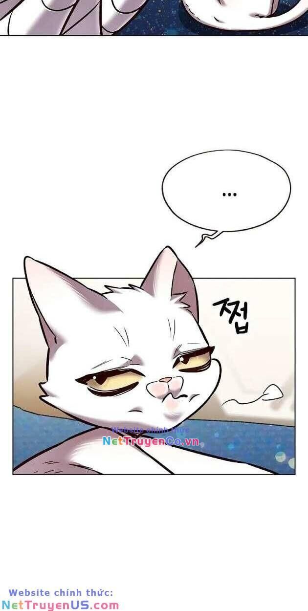 Cô Dâu Của Sói Trắng Chapter 263 - Trang 2