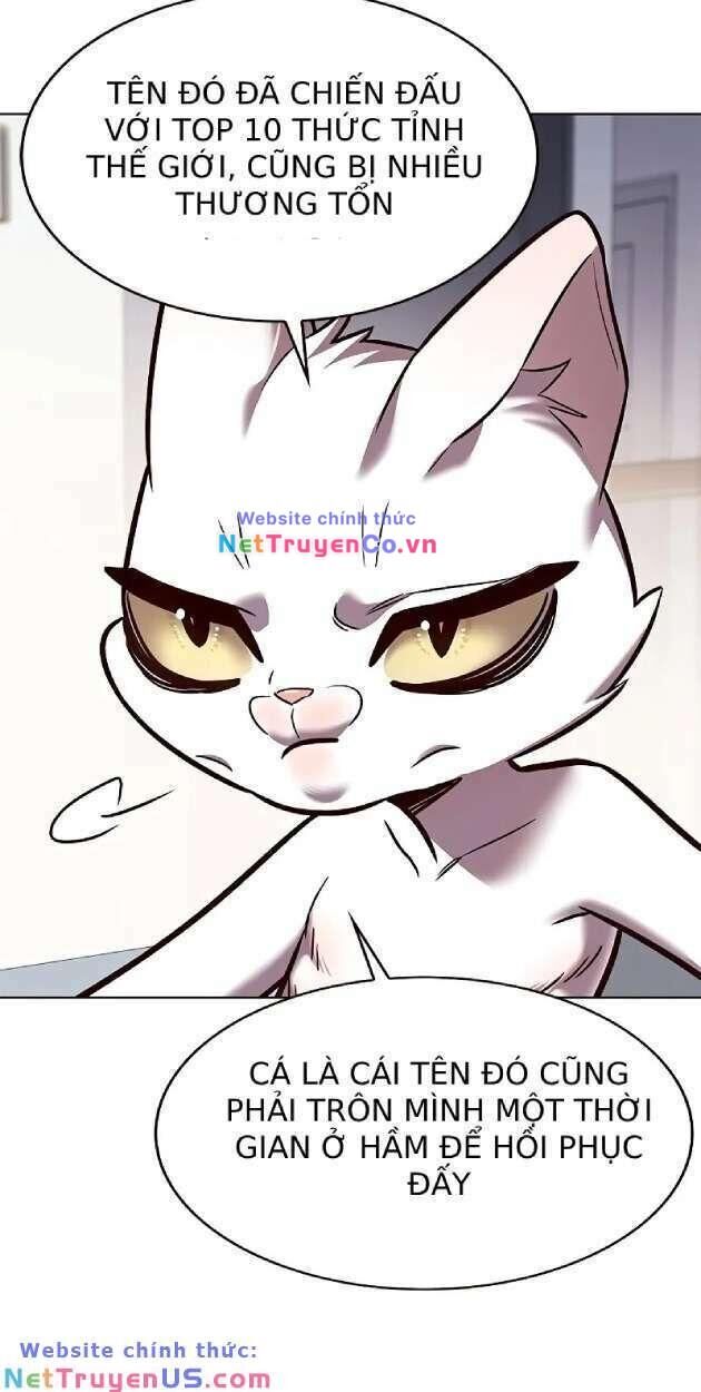 Cô Dâu Của Sói Trắng Chapter 263 - Trang 2