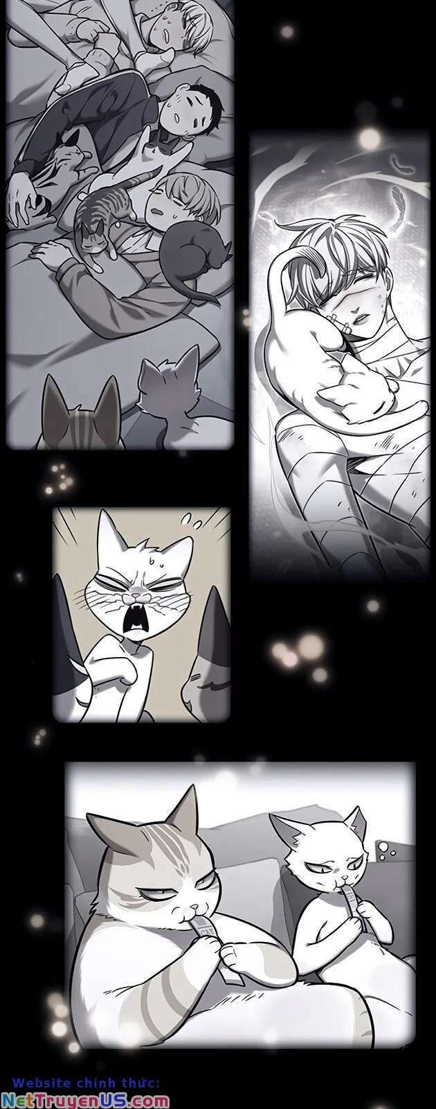 Cô Dâu Của Sói Trắng Chapter 270 - Trang 2