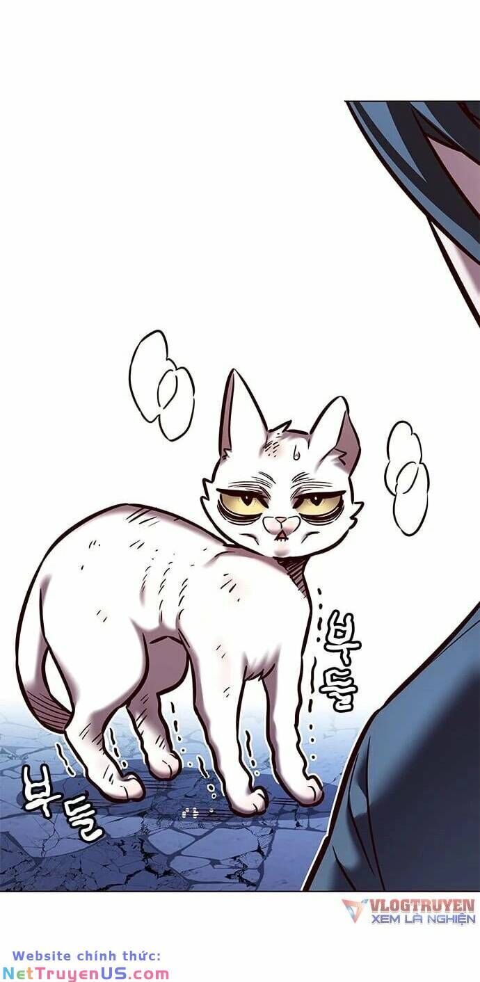 Cô Dâu Của Sói Trắng Chapter 275 - Trang 2