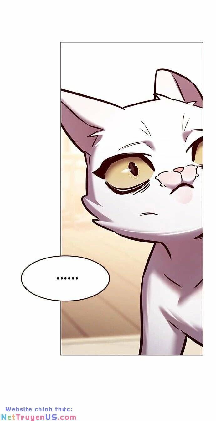 Cô Dâu Của Sói Trắng Chapter 275 - Trang 2