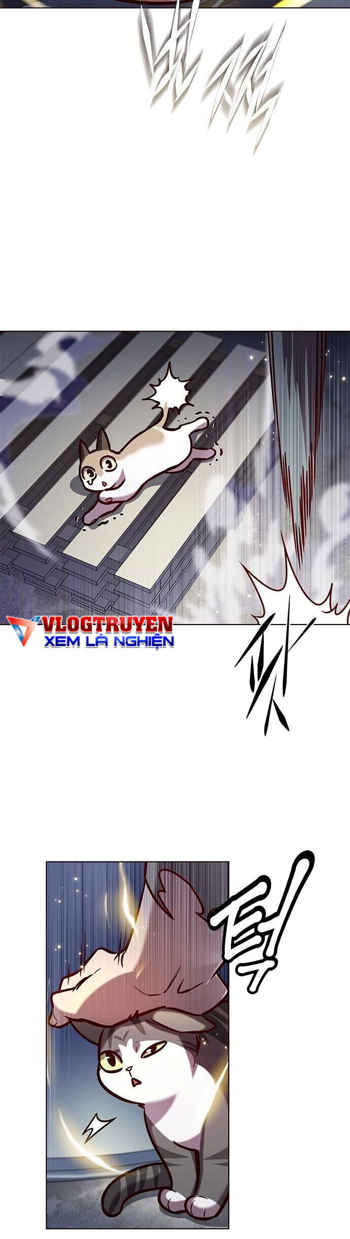 Cô Dâu Của Sói Trắng Chapter 279 - Trang 2