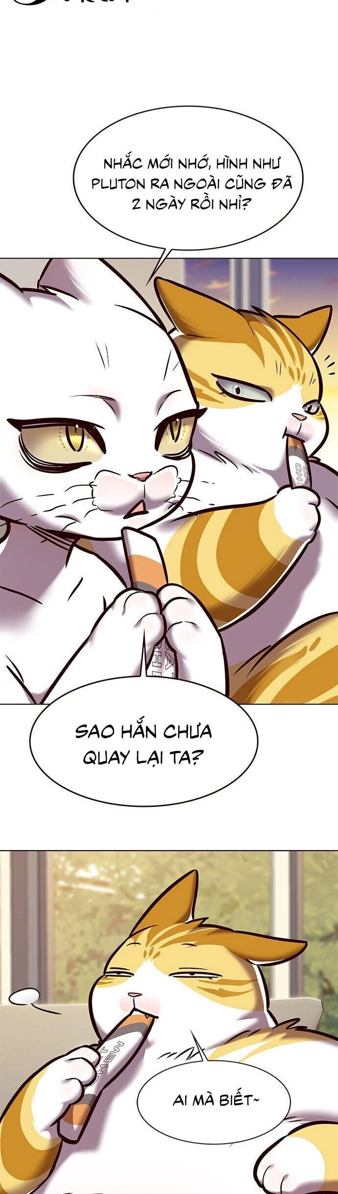 Cô Dâu Của Sói Trắng Chapter 279 - Trang 2