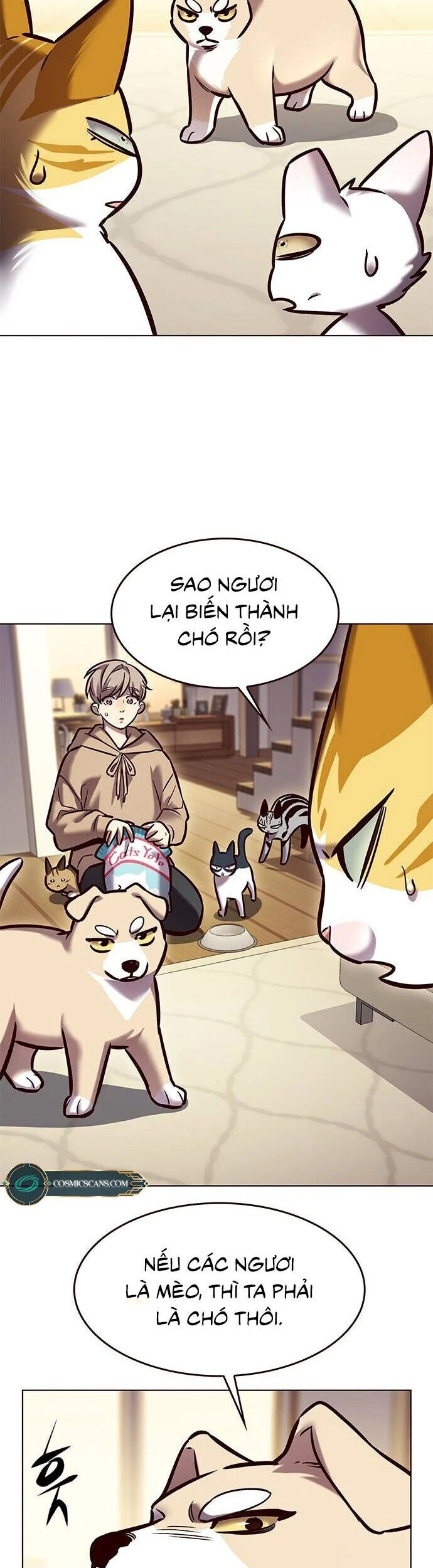 Cô Dâu Của Sói Trắng Chapter 279 - Trang 2