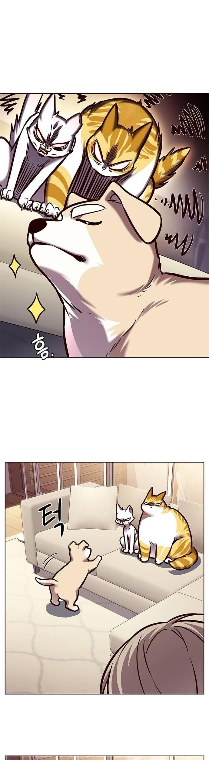 Cô Dâu Của Sói Trắng Chapter 279 - Trang 2