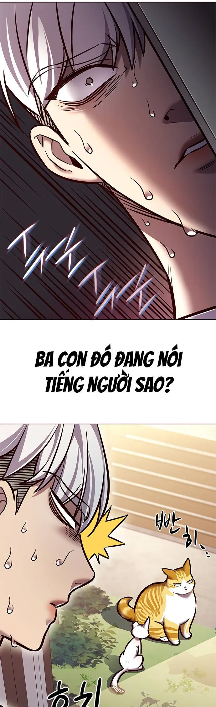 Cô Dâu Của Sói Trắng Chapter 280 - Trang 2