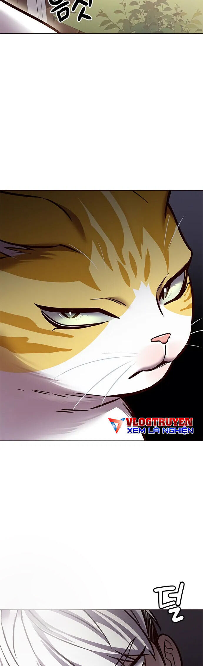 Cô Dâu Của Sói Trắng Chapter 280 - Trang 2