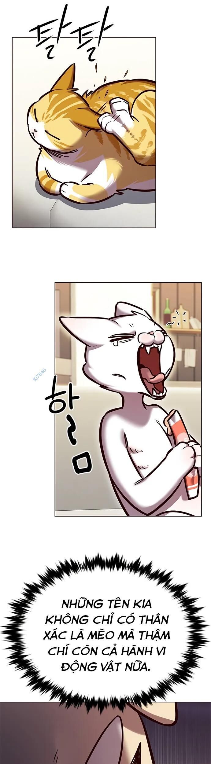 Cô Dâu Của Sói Trắng Chapter 280 - Trang 2
