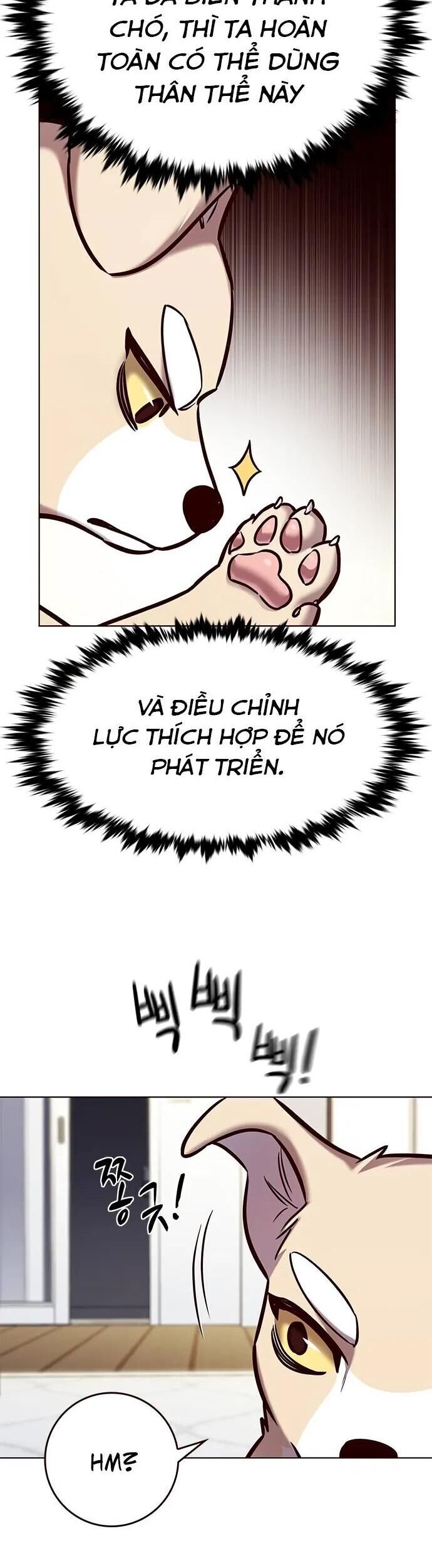 Cô Dâu Của Sói Trắng Chapter 280 - Trang 2