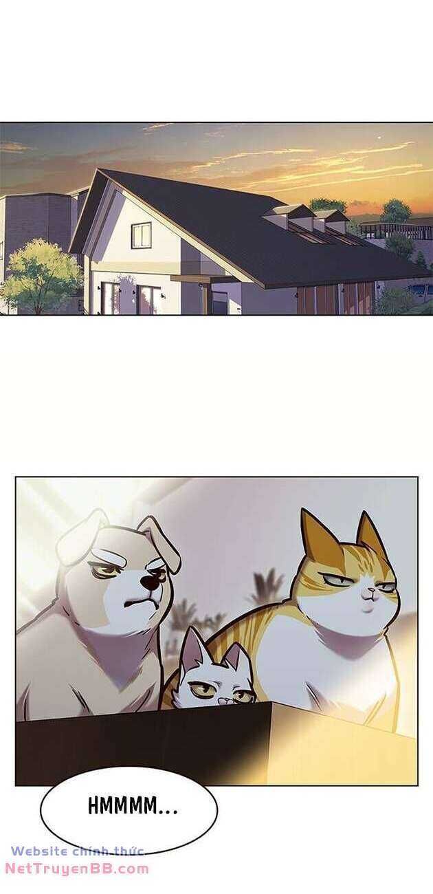 Cô Dâu Của Sói Trắng Chapter 282 - Trang 2