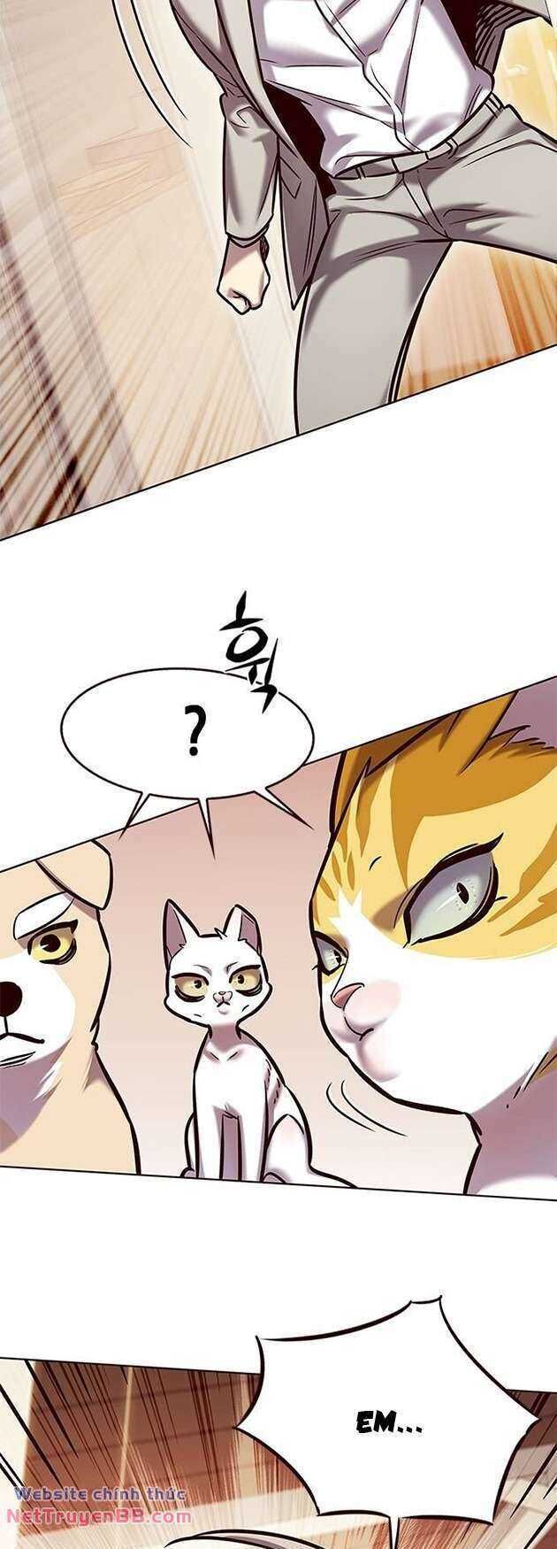 Cô Dâu Của Sói Trắng Chapter 282 - Trang 2