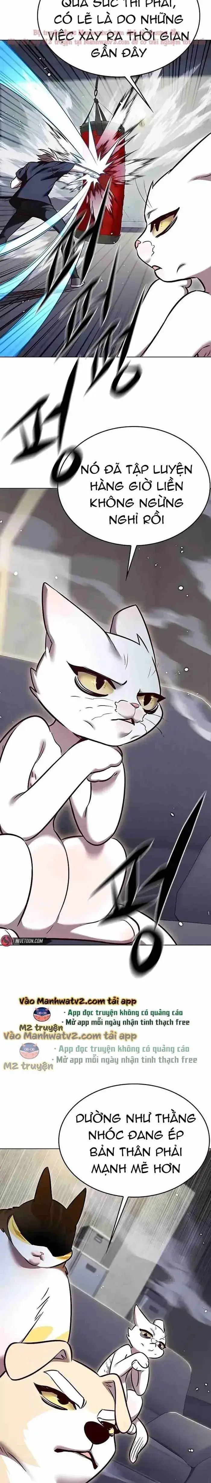 Cô Dâu Của Sói Trắng Chapter 305 - Trang 2