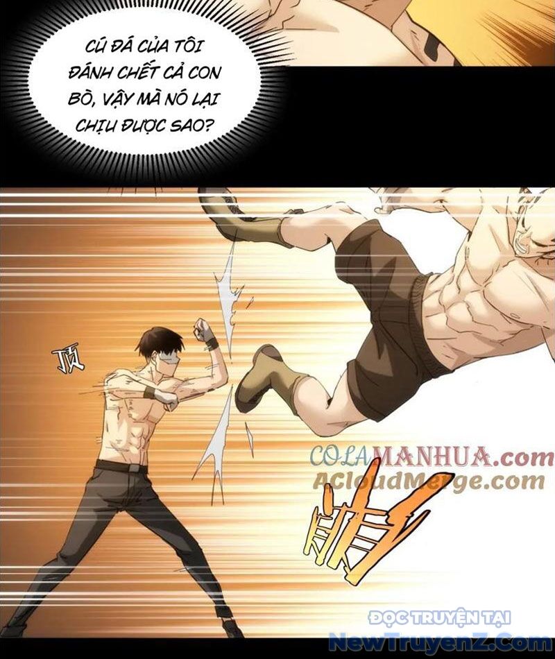 Nhất Ký Trọng Quyền Chapter 22 - Trang 2