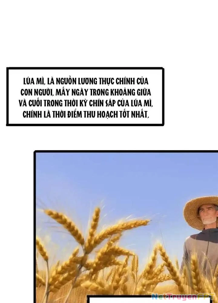 Đặc Nhiệm Siêu Cấp Thành Phố Chapter 329 - Trang 2