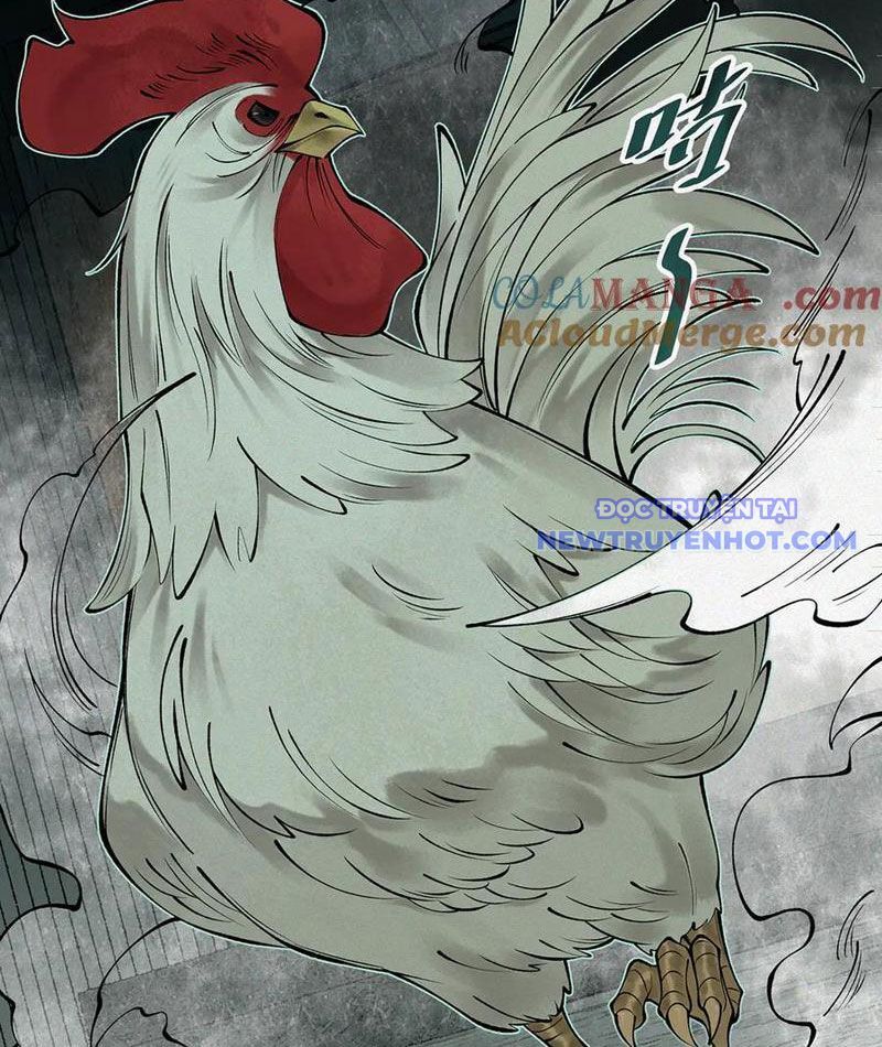 Làm Người Nhặt Xác, Tôi Khởi Đầu Là Giải Phẫu Bạn Gái Cũ! Chapter 12 - Trang 2