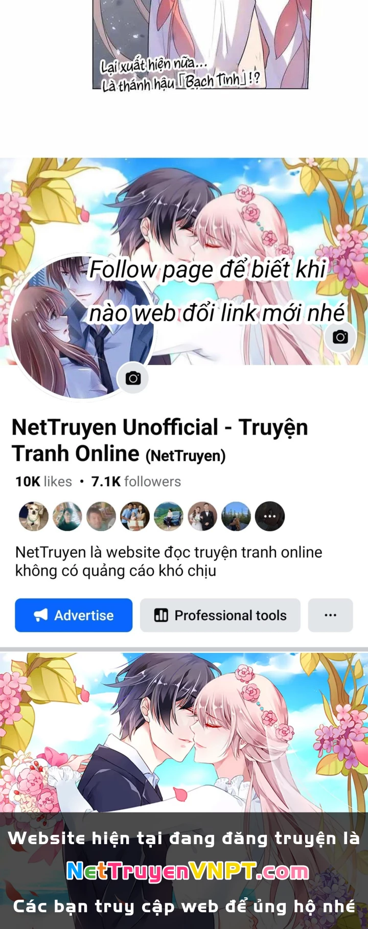 Như Loan Chapter 22 - Trang 2