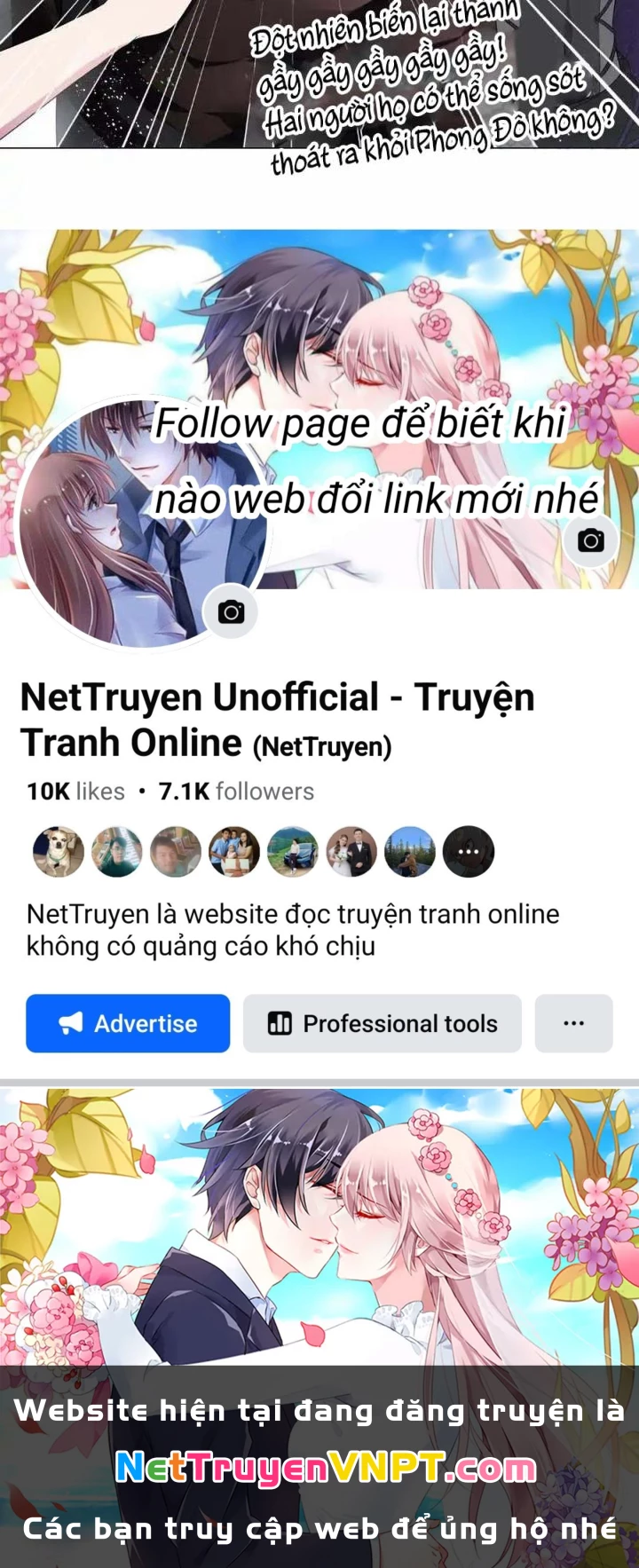 Như Loan Chapter 31 - Trang 2
