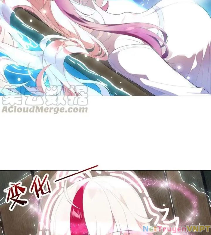 Như Loan Chapter 38 - Trang 2