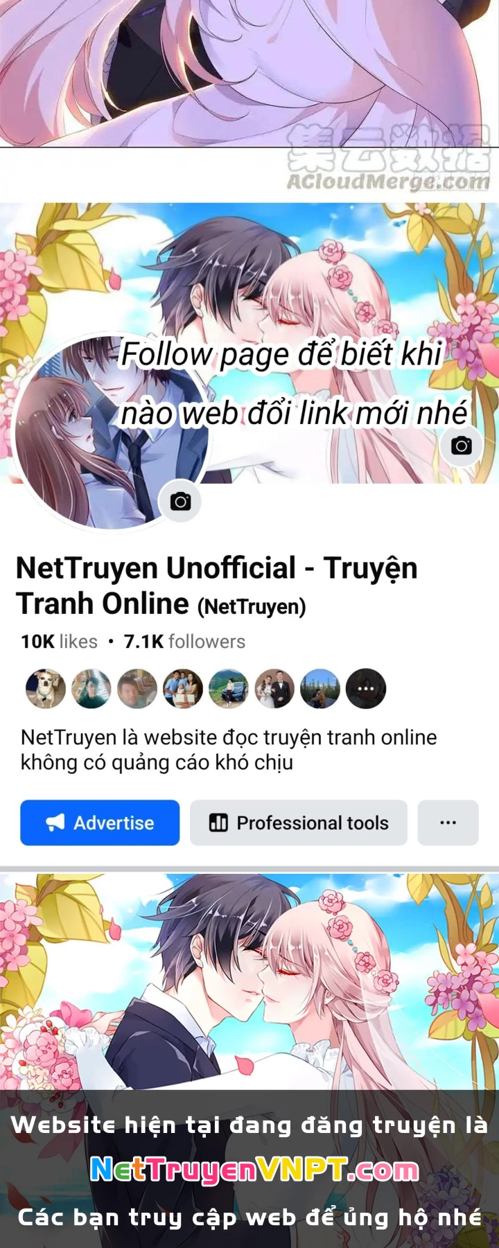 Như Loan Chapter 39 - Trang 2