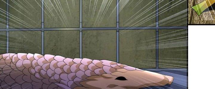 Yêu Nghiệt Cầu Xin Ta Bỏ Qua Chapter 13 - Trang 2