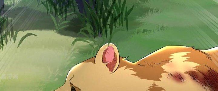 Yêu Nghiệt Cầu Xin Ta Bỏ Qua Chapter 14 - Trang 2