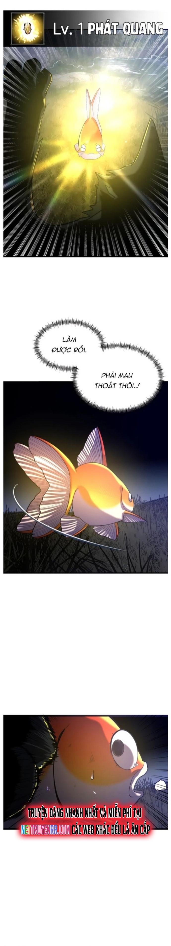 Hoá Thân Thành Cá Chapter 26 - Trang 2