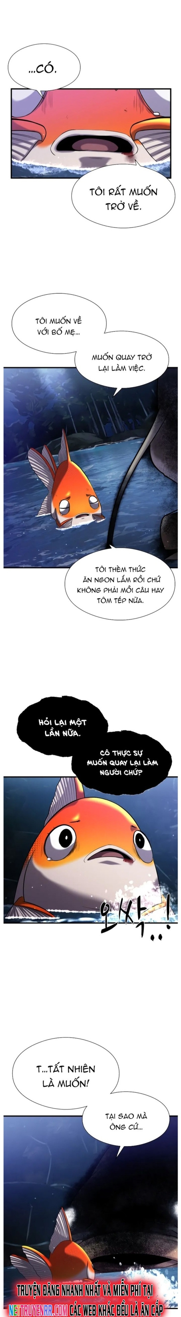 Hoá Thân Thành Cá Chapter 28 - Trang 2