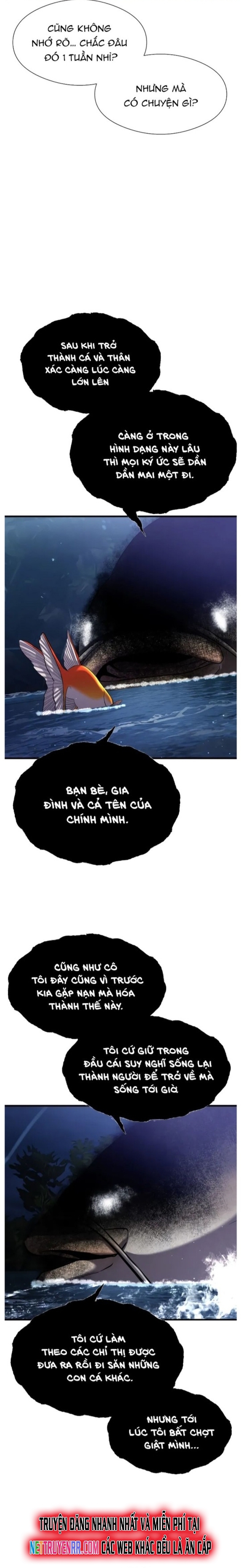 Hoá Thân Thành Cá Chapter 28 - Trang 2