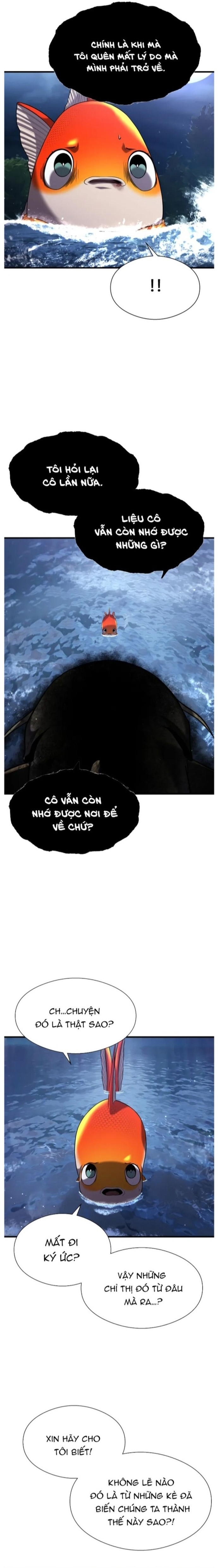 Hoá Thân Thành Cá Chapter 28 - Trang 2