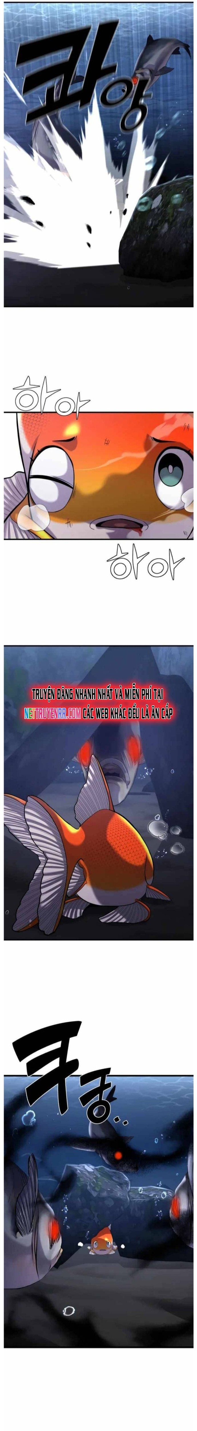 Hoá Thân Thành Cá Chapter 29 - Trang 2