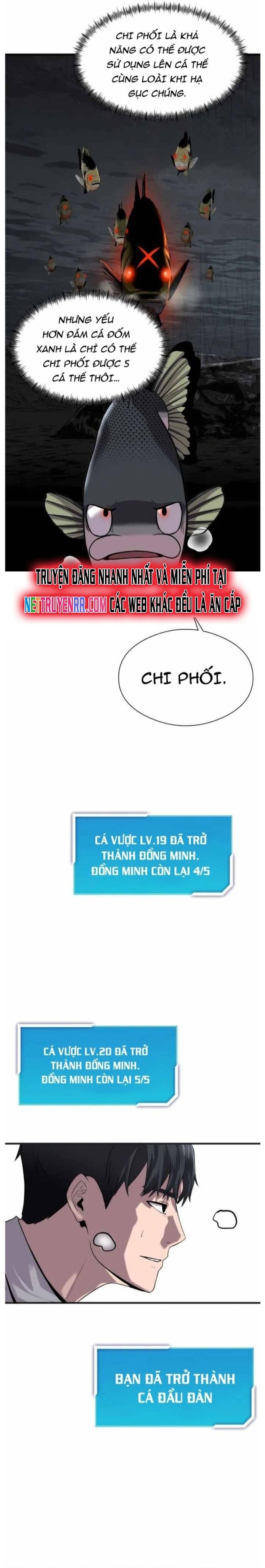 Hoá Thân Thành Cá Chapter 29 - Trang 2