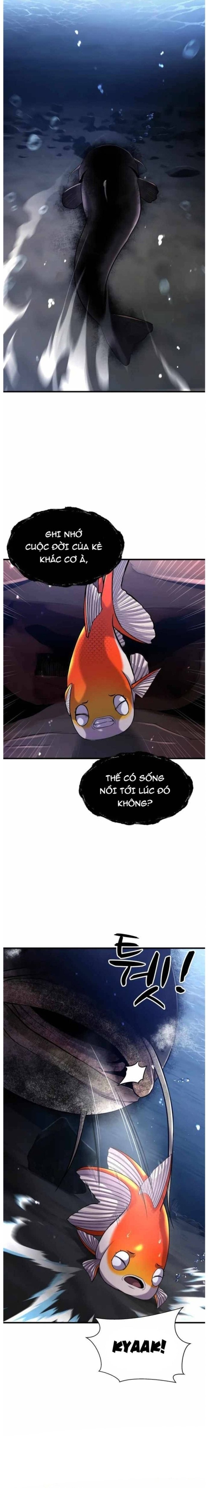 Hoá Thân Thành Cá Chapter 29 - Trang 2