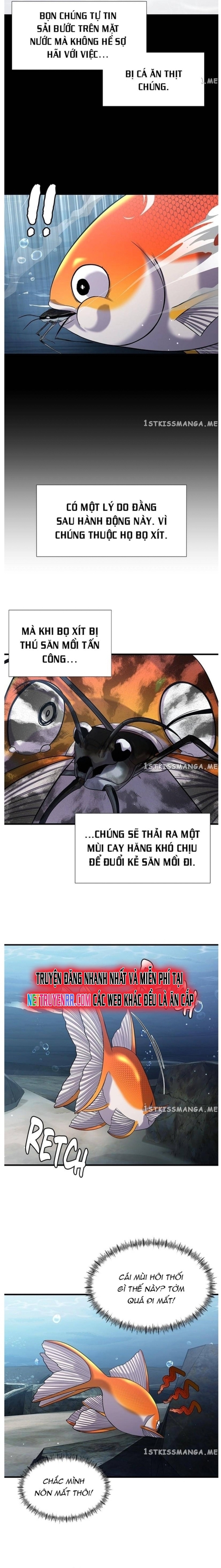 Hoá Thân Thành Cá Chapter 32 - Trang 2