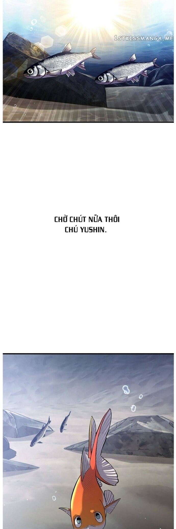 Hoá Thân Thành Cá Chapter 33 - Trang 2
