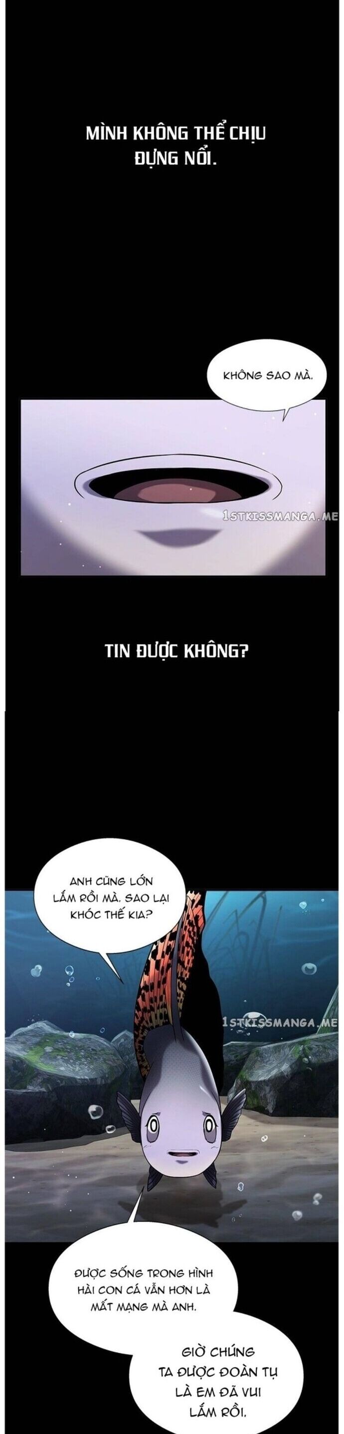 Hoá Thân Thành Cá Chapter 34 - Trang 2
