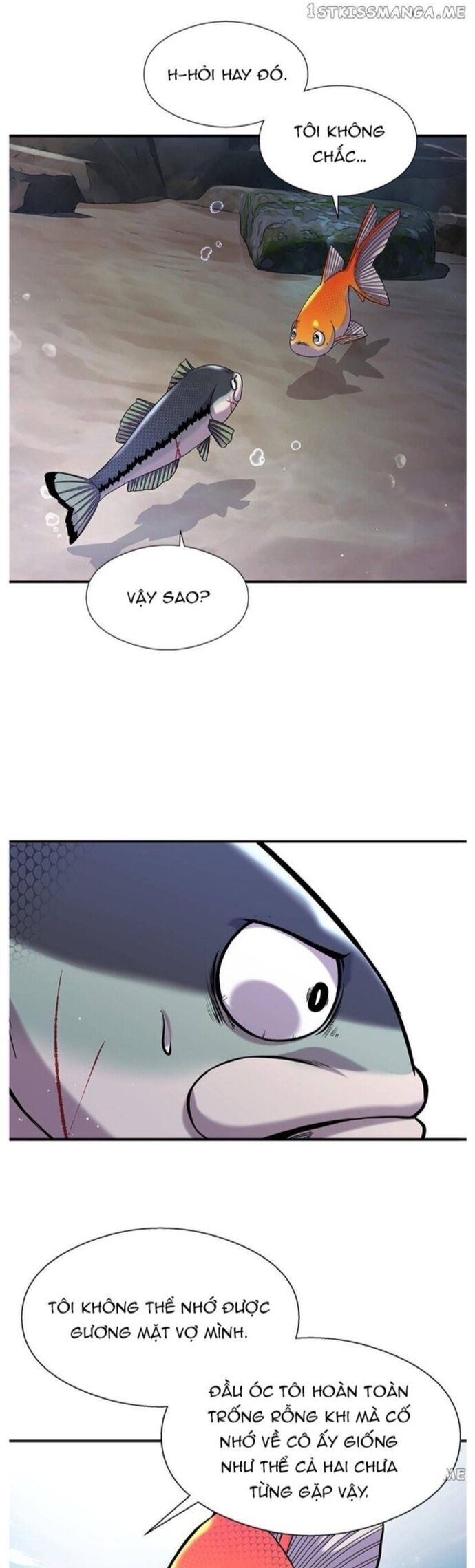 Hoá Thân Thành Cá Chapter 35 - Trang 2