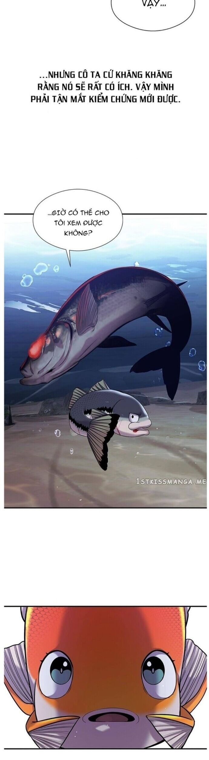 Hoá Thân Thành Cá Chapter 35 - Trang 2
